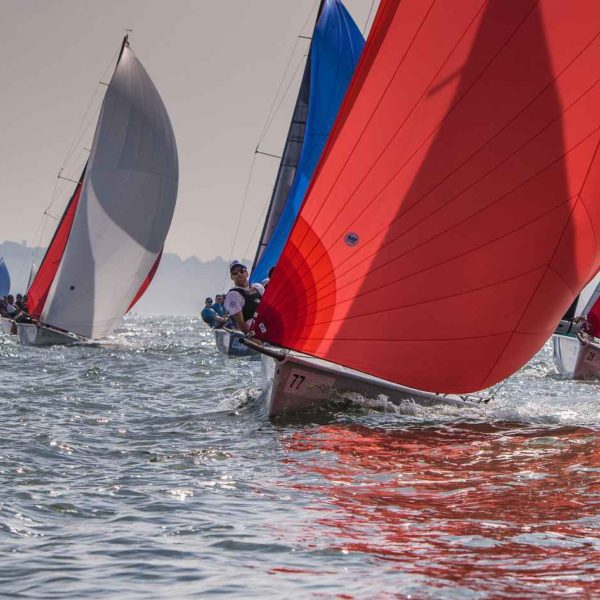 Export Roo sails to lead at SB20 Worlds